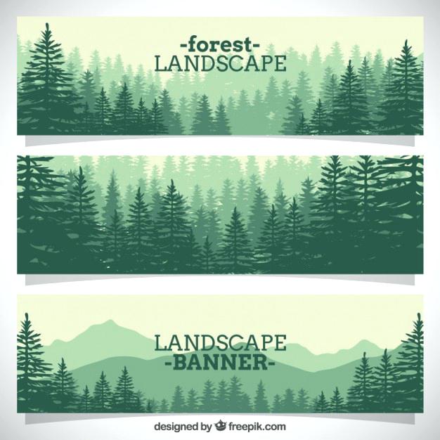 forest landscape vector forest landscape 27 vector