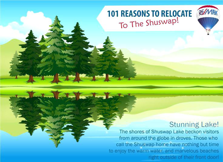 forest landscape vector green pastures and forest landscape vectors in five of the most beautiful illustrations we have seen recently adding up to an excellent design both in forest landscape 27 vecto