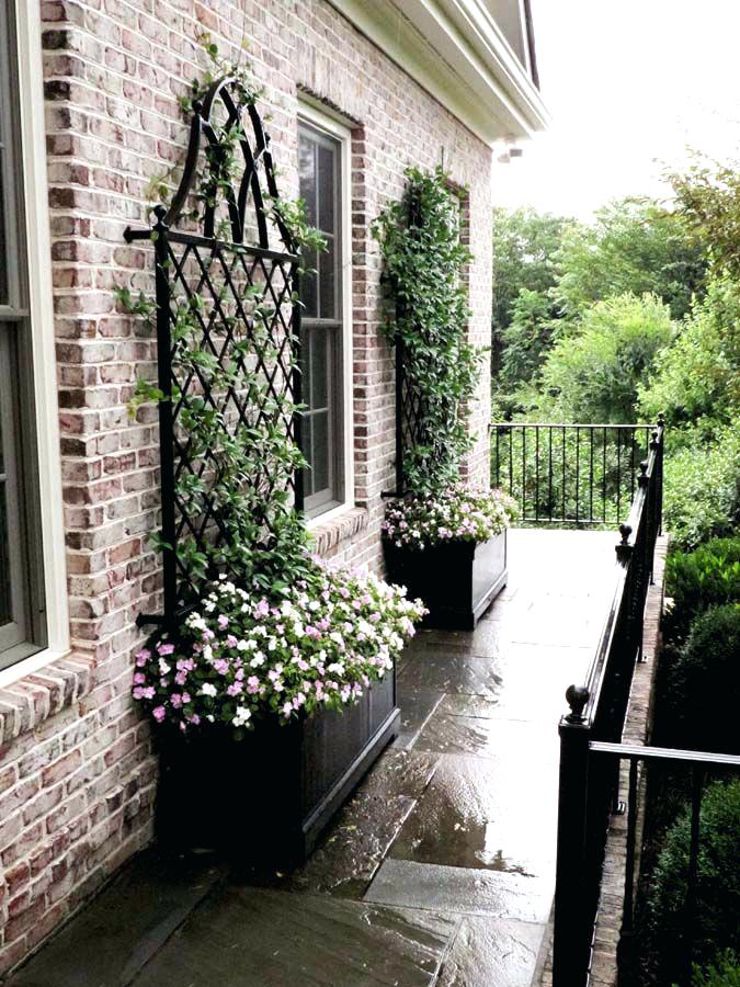 house trellis designs for today i have a great article for you that i called creative and easy trellis ideas for your garden a garden trellis is an excellent way house trellis ideas
