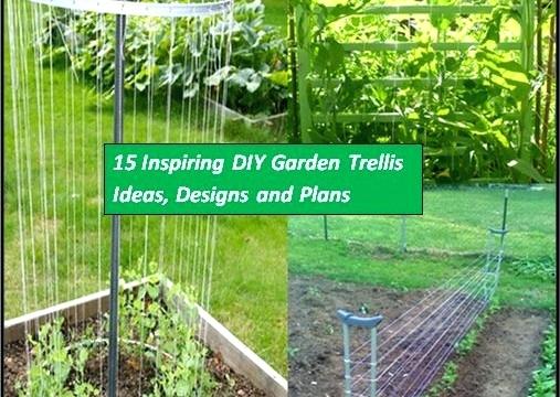 house trellis designs garden trellis house trellis ideas