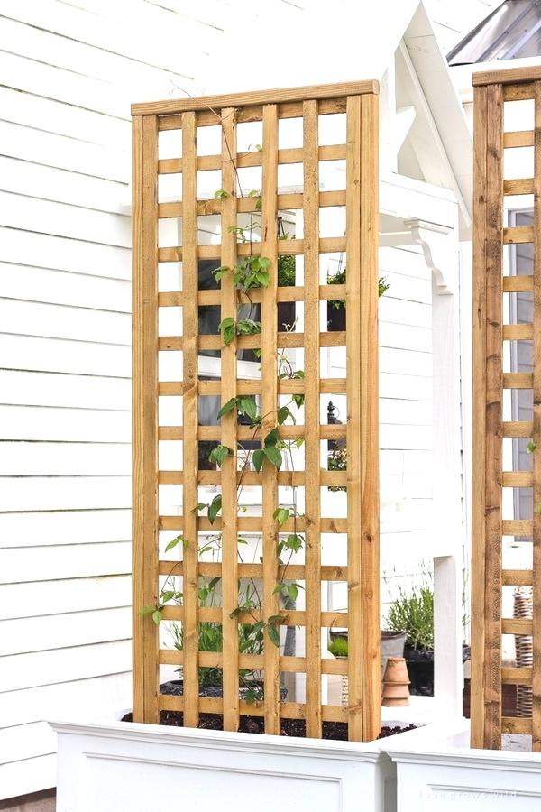 house trellis designs planter box with screen trellis house trellis ideas