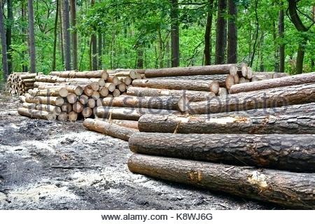 sheridan lumber oregon similar stock images