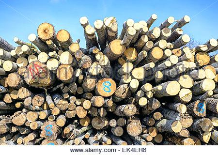sheridan lumber oregon stacked lumber logs ready for transport stock photo