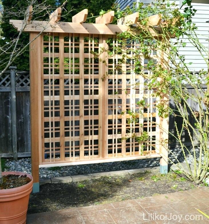 trellis next to house the trellis is usually a piece of latticework that can be mounted against a building or be free standing vines are usually the best plants to use on a
