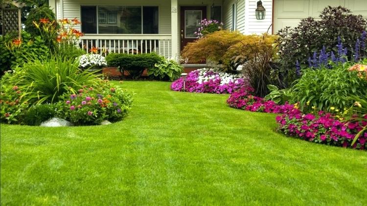 landscaping new orleans area when you make the decision to install new landscaping you really know where to start do you install hollies magnolias shrubs annuals or azaleas