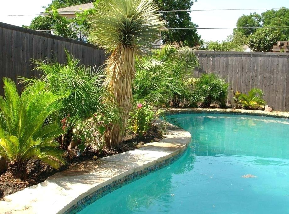 pool landscaping ideas arizona backyard swimming pool landscaping ideas pool design ideas